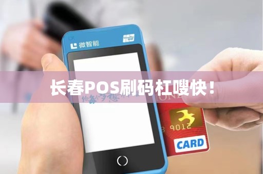 长春POS刷码杠嗖快！