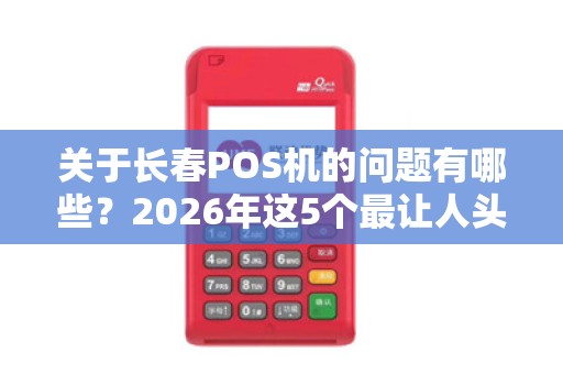 关于长春POS机的问题有哪些?2026年这5个最让人头疼