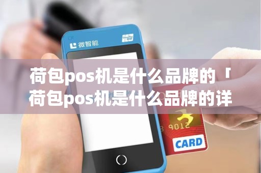荷包pos机是什么品牌的「荷包pos机是什么品牌的详细介绍」