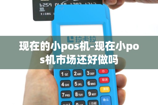 现在的小pos机-现在小pos机市场还好做吗