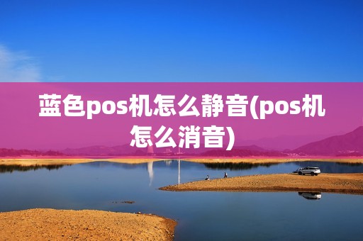 蓝色pos机怎么静音(pos机怎么消音)