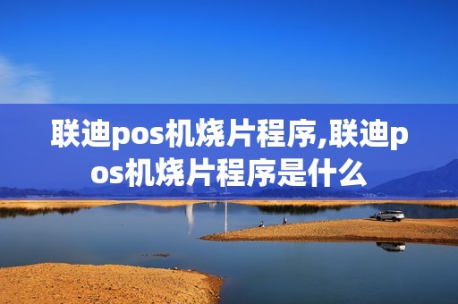 联迪pos机烧片程序,联迪pos机烧片程序是什么