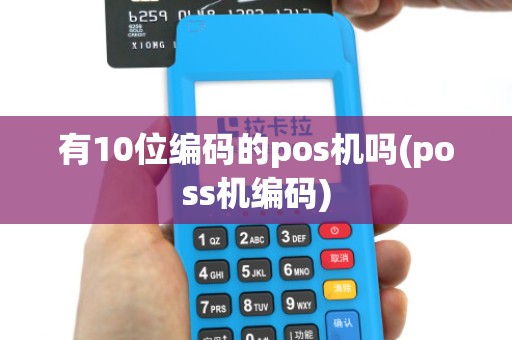 有10位编码的pos机吗(poss机编码)