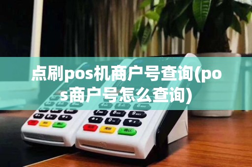 点刷pos机商户号查询(pos商户号怎么查询)