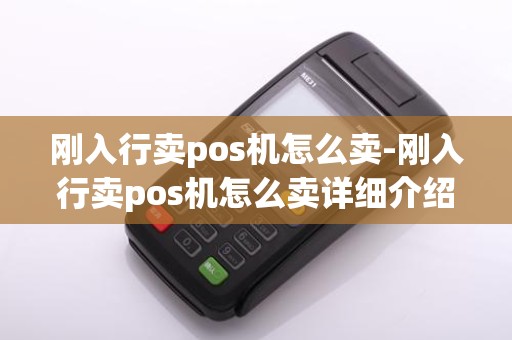 刚入行卖pos机怎么卖-刚入行卖pos机怎么卖详细介绍