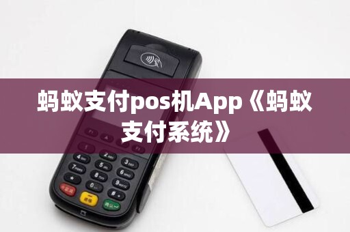 蚂蚁支付pos机App《蚂蚁支付系统》