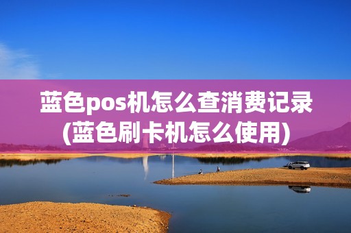 蓝色pos机怎么查消费记录(蓝色刷卡机怎么使用)