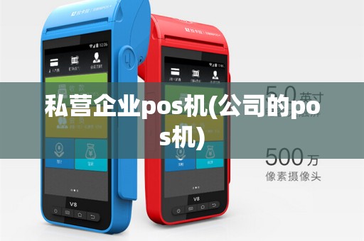 私营企业pos机(公司的pos机)