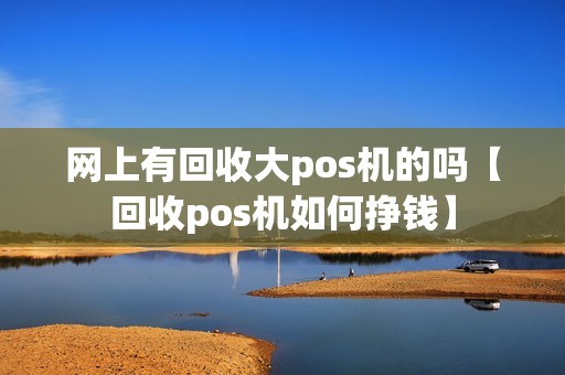 网上有回收大pos机的吗【回收pos机如何挣钱】