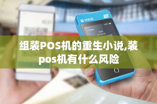 组装POS机的重生小说,装pos机有什么风险