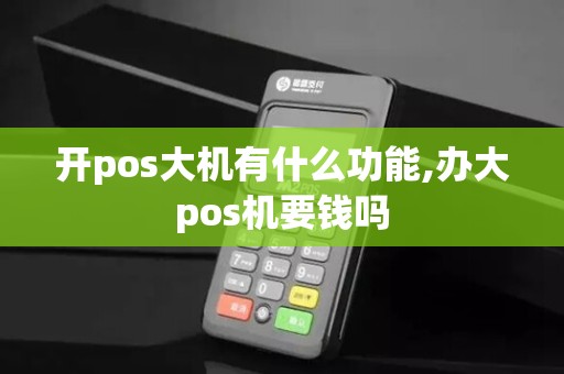 开pos大机有什么功能,办大pos机要钱吗
