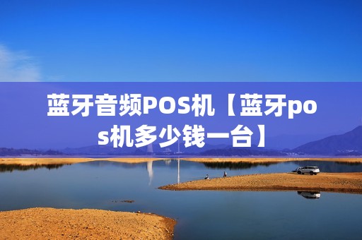 蓝牙音频POS机【蓝牙pos机多少钱一台】