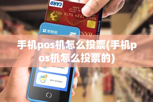手机pos机怎么投票(手机pos机怎么投票的)