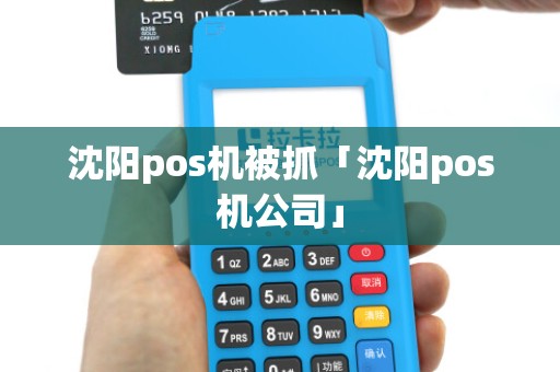 沈阳pos机被抓「沈阳pos机公司」