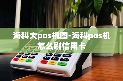 海科大pos机图-海科pos机怎么刷信用卡
