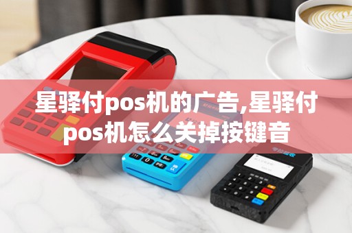 星驿付pos机的广告,星驿付pos机怎么关掉按键音