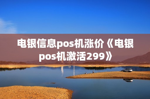 电银信息pos机涨价《电银pos机激活299》