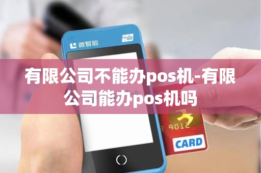 有限公司不能办pos机-有限公司能办pos机吗