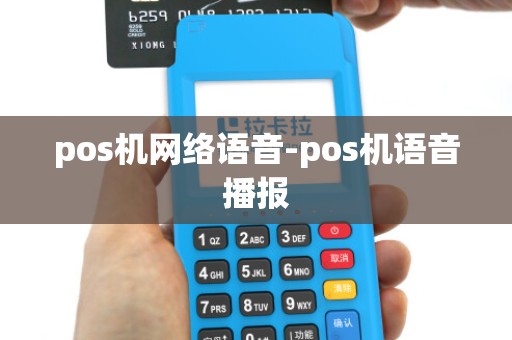 pos机网络语音-pos机语音播报