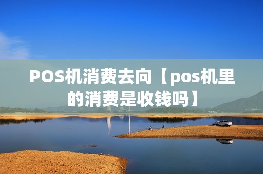 POS机消费去向【pos机里的消费是收钱吗】