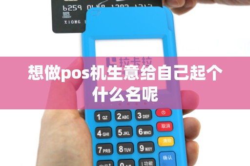 想做pos机生意给自己起个什么名呢
