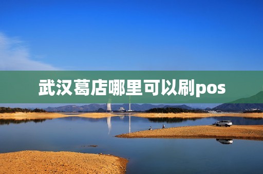 武汉葛店哪里可以刷pos