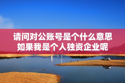 请问对公账号是个什么意思如果我是个人独资企业呢