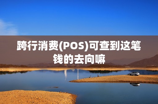 跨行消费(POS)可查到这笔钱的去向嘛