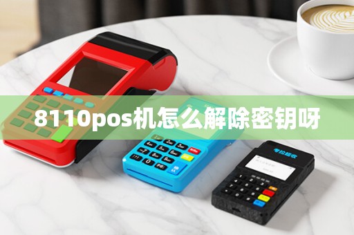 8110pos机怎么解除密钥呀