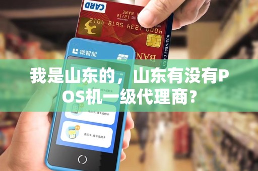 我是山东的，山东有没有POS机一级代理商？