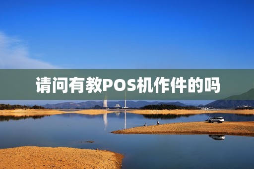 请问有教POS机作件的吗