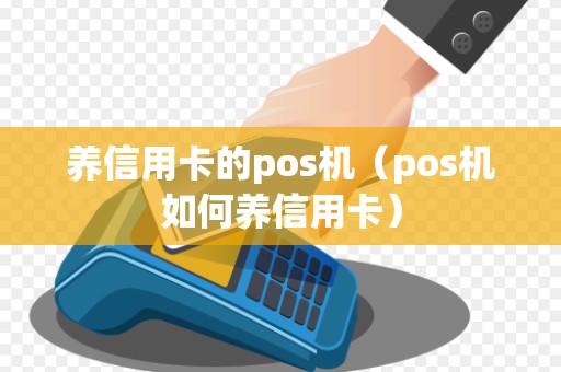 养信用卡的pos机（pos机如何养信用卡）