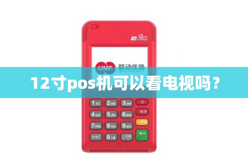 12寸pos机可以看电视吗？