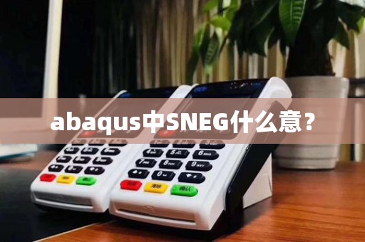 abaqus中SNEG什么意？