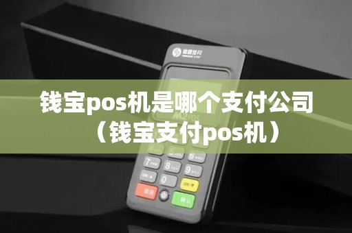 钱宝pos机是哪个支付公司（钱宝支付pos机）
