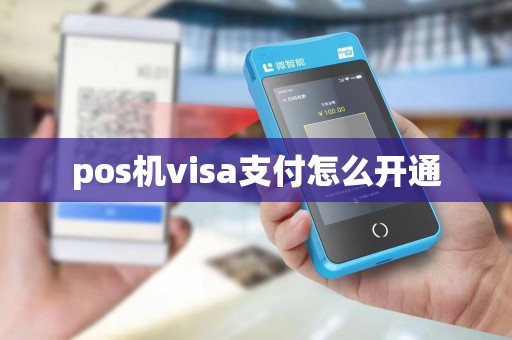 pos机visa支付怎么开通