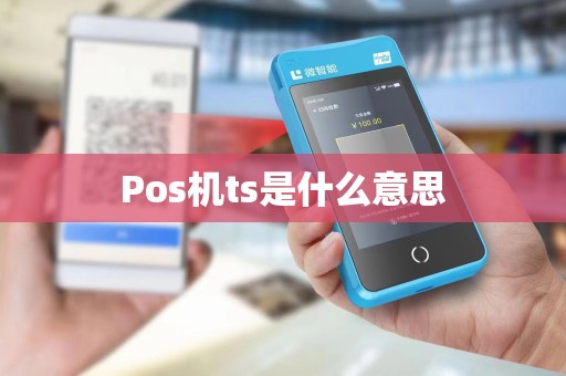 Pos机ts是什么意思