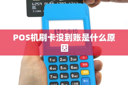 POS机刷卡没到账是什么原因