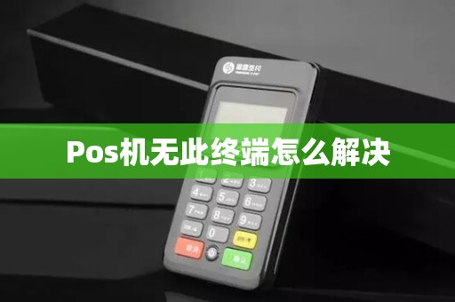 Pos机无此终端怎么解决