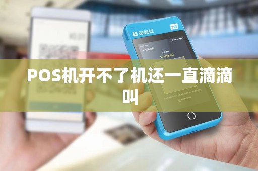POS机开不了机还一直滴滴叫