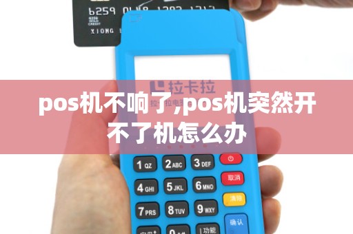 pos机不响了,pos机突然开不了机怎么办