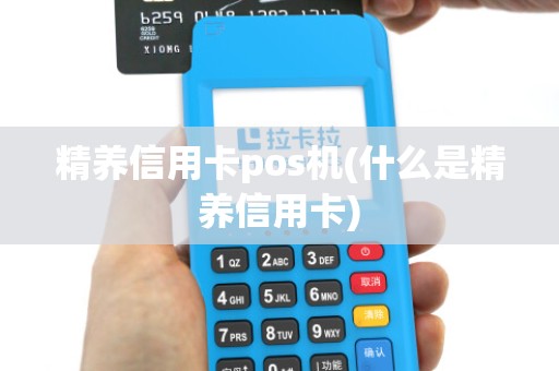 精养信用卡pos机(什么是精养信用卡)