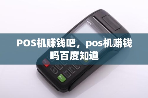 POS机赚钱吧,pos机赚钱吗百度知道