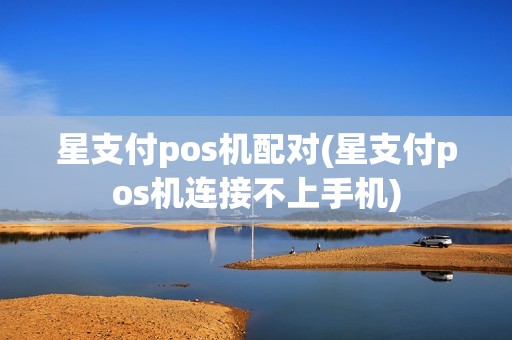 星支付pos机配对(星支付pos机连接不上手机)