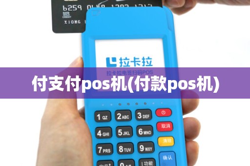 付支付pos机(付款pos机)