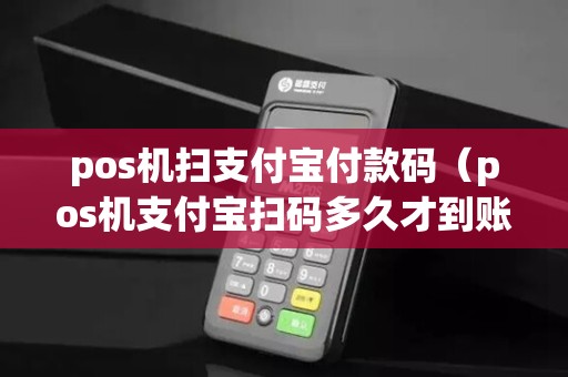 pos机扫支付宝付款码(pos机支付宝扫码多久才到账)