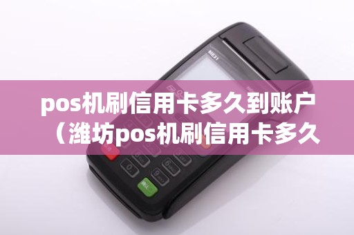pos机刷信用卡多久到账户(潍坊pos机刷信用卡多久到账啊)