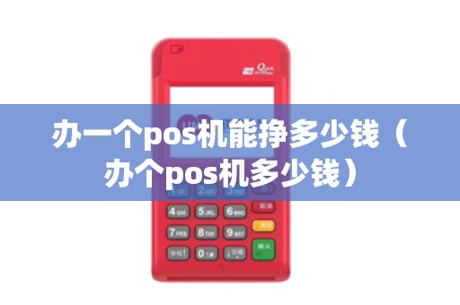 办一个pos机能挣多少钱(办个pos机多少钱)
