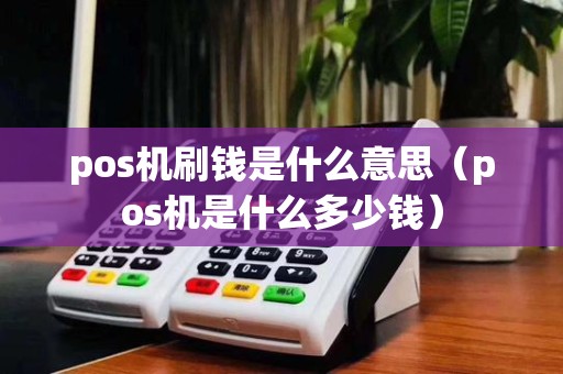 pos机刷钱是什么意思（pos机是什么多少钱）