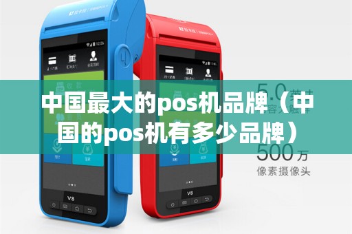 中国最大的pos机品牌(中国的pos机有多少品牌)